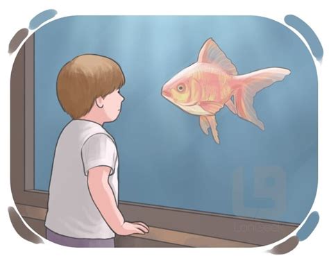 definition meaning   picture dictionary