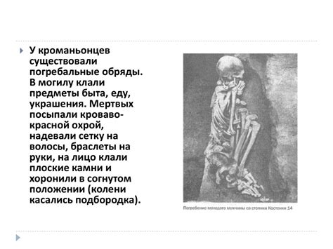 Кроманьонец. Сравнение с современным человеком - презентация онлайн