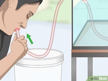 ways  siphon water wikihow