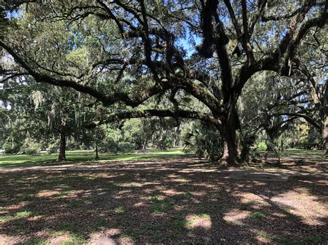 A New Orleans State of Mind: New Orleans Naked Dance.