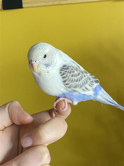 This is Pants. I assumed he was male, but now I’m not too sure? Is he a ...