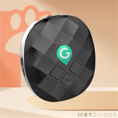 dog gps trackers  australia  updated reviews