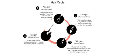 Male Hair Loss Treatment | Androgenic Alopecia | Rejuvence Clinic