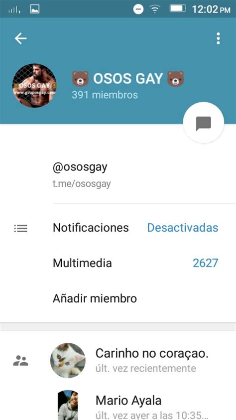 Guia GAY Colombia ::. Grupos GAY de Telegram - GAY Groups in Telegram
