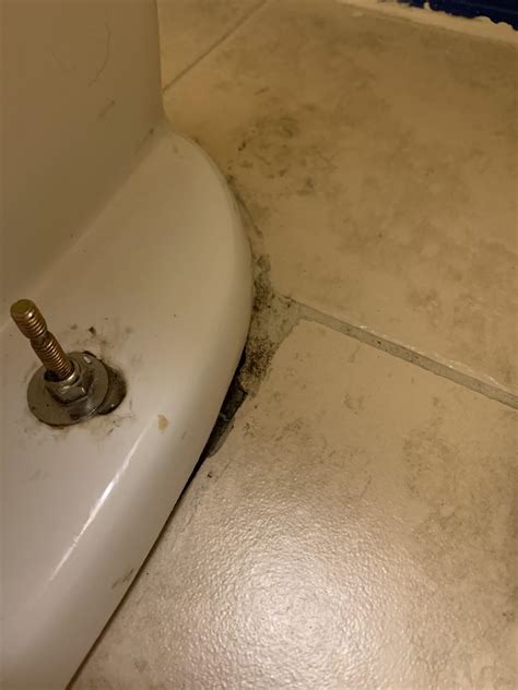 plumbing - Weird toilet leaks - Home Improvement Stack Exchange