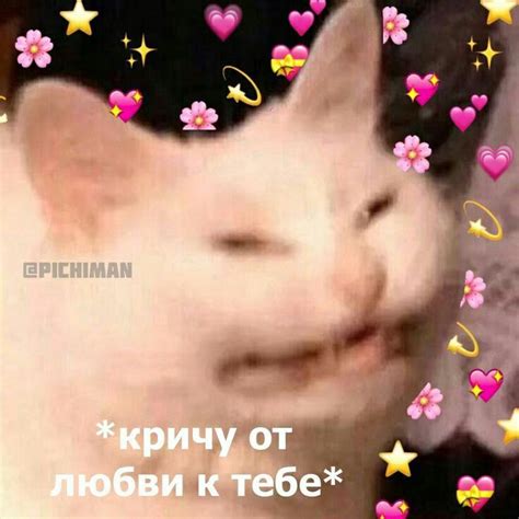 Любовь | Веселые мемы, Смешные мемы, Смешно