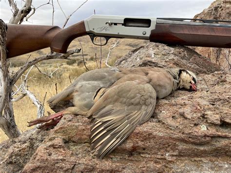 Bird Hunting Meaning at Martin Loya blog