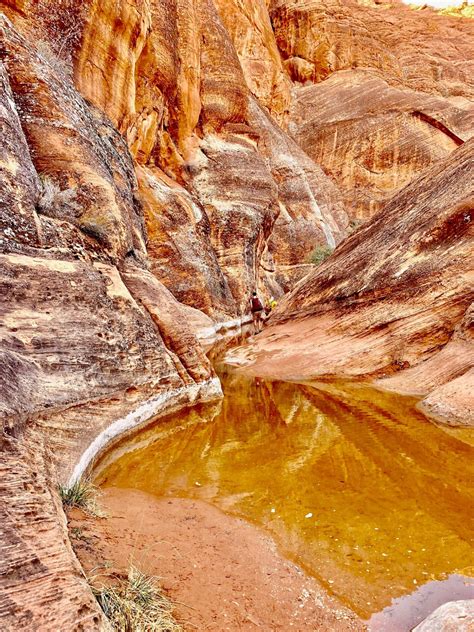 st george rental cars 7