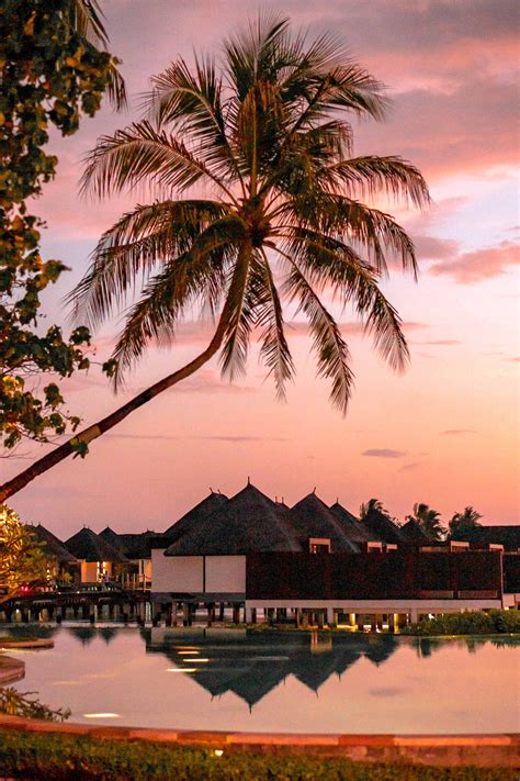 Bora Bora Photos, Download The BEST Free Bora Bora Stock Photos & HD Images