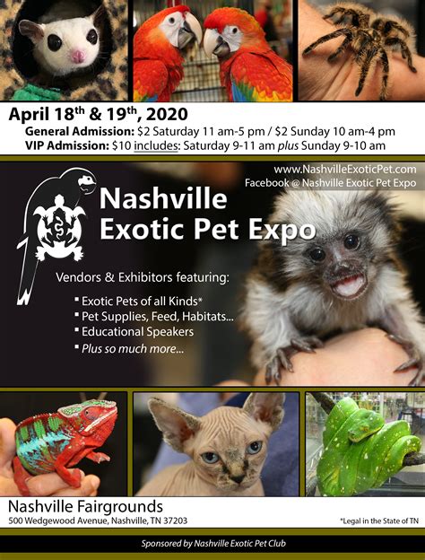 Nashville Pets - Craigslist: Experts Reveal The Hidden Dangers! Image 11