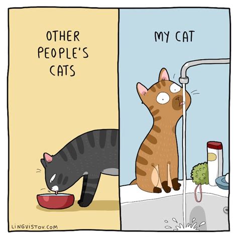 charming cat comic illustrates  weird  wonderful ways  felines