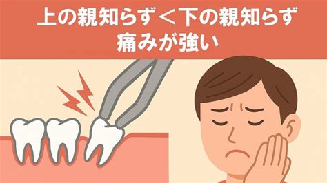 親知らずの抜歯「上vs下」比較｜下が痛い理由と術後ケア - 医療法人社団スマイル会 ふかさわ歯科クリニック篠崎 - えどがわ産業ナビ