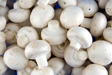 100, 150, 200, 250 грамм шампиньонов — это сколько? - Food-Wiki.ru