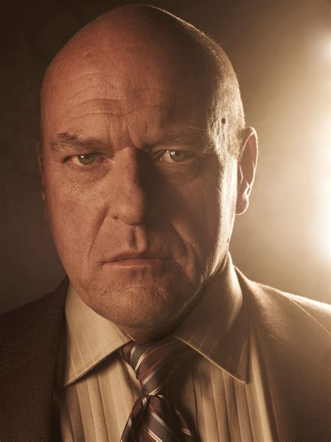 Every DEA Agent In Breaking Bad Ranked: From Hank To Gomez 11