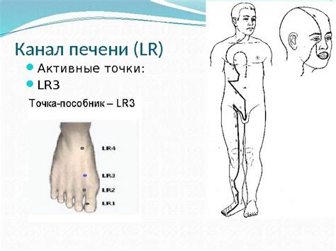 Рефлексотерапия. План. 1) Определения. a) Рефлексотерапия.
