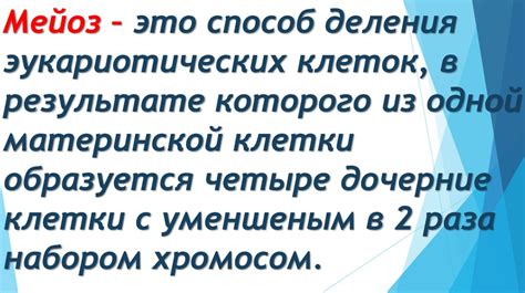 Мейоз и его биологическое значение - online presentation