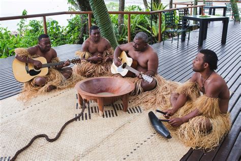 kava  fiji culture  fascinating tradition mydae