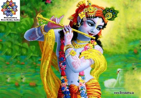 Animated Krishna Wallpapers - Top Free Animated Krishna Backgrounds ...