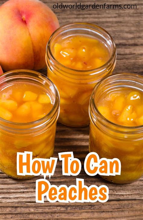 Leaky Peach Jars: My Personal Nightmare – And How to Avoid It! - ap9jjg2