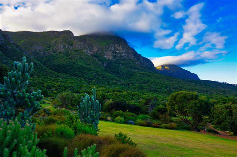 511 best Cape Town South Africa images on Pholder | Room Porn, City