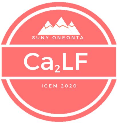 Team:SUNY Oneonta/DailyLog - 2020.igem.org