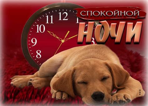 Стильная открытка Спокойной ночи! С часиками - Скачать бесплатно на ...