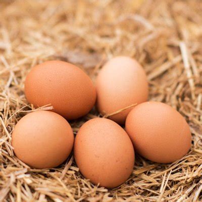 Chicken Eggs — La Perouse Public School P&C