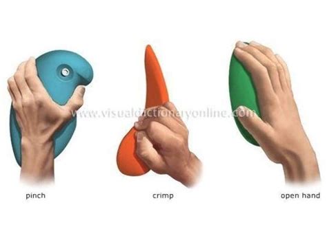Types of hand holds- Julie Council-#Council #Hand #holds #julie # ...