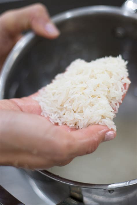 Best Rice Water Shampoo (Buyer's Guide) | The Natural Natalie