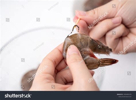 how to clean shrimp poop