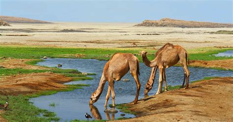 integrated national financing framework djibouti
