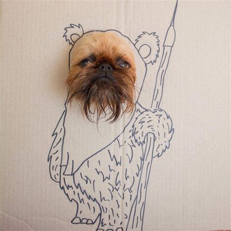 Saw the Shih Tzu Ewok, and had to do this to my pup! : r/aww