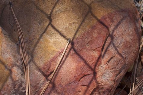 Free fotobanka : Skála, dřevo, list, hnědý, orgán, řezba 4011x2674 ...