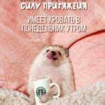 Happypik - Картинки и открытки на каждый день