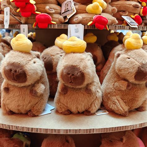 El ojo turco: su historia, qué significa, de qué protege y qué pasa si