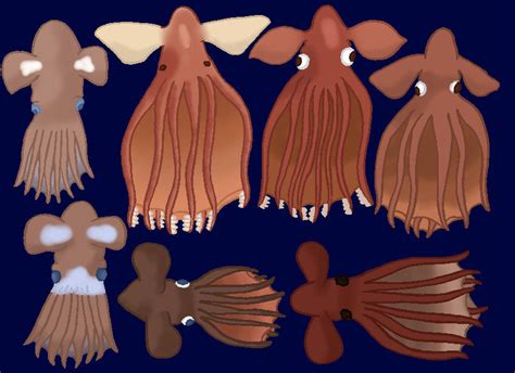 Cirroteuthids: The Cirrate Octopi by TheSirenLord on DeviantArt