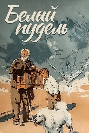 Белый пудель (1955) — Кинопоиск