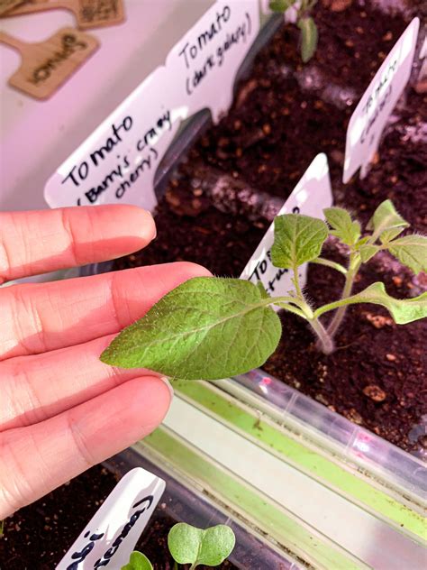 Jenny Smith - Page 3 of 54 - Yes, I am THE Jenny Smith