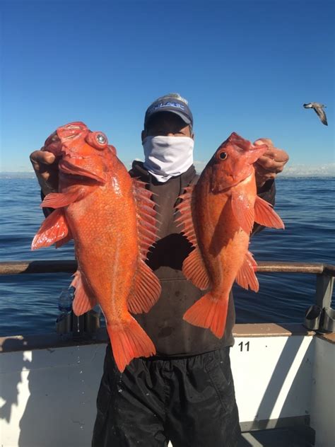 Redondo Beach Sportfishing
