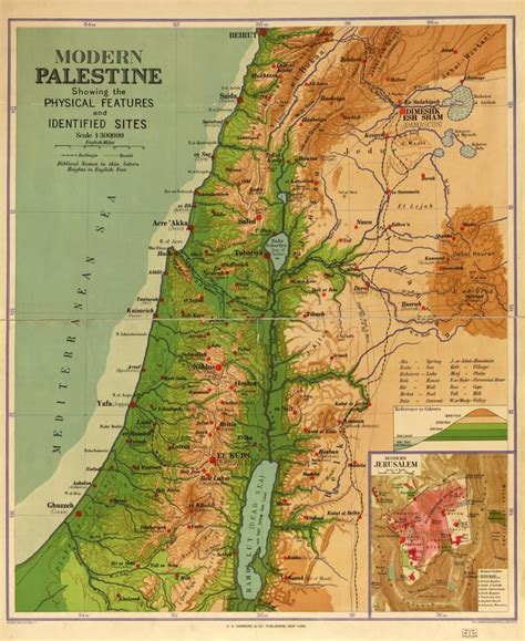 modern palestine showing  physical features  identified states