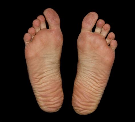 «soles» HD wallpapers