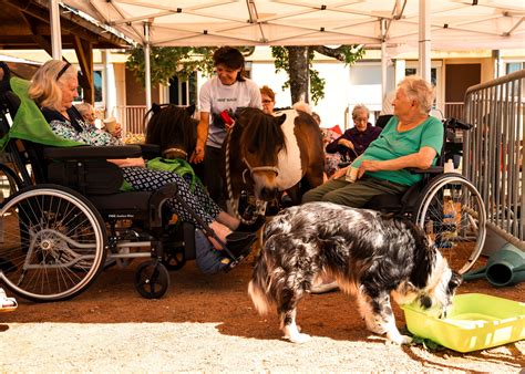 mini ferme  maxi tendresse  jean borel jean borel