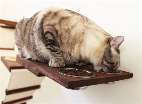 5” Cat Perch