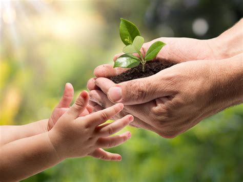 green energy    indonesias huge potentials jokowi