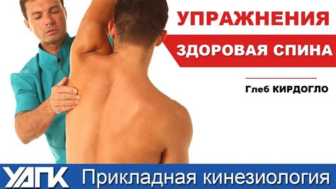 Упражнение для здорового позвоночника! Глеб Кирдогло. УАПК - YouTube