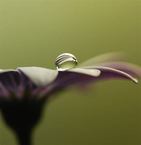 35 Incredible Examples Of Water Drop Photography | Photography ...