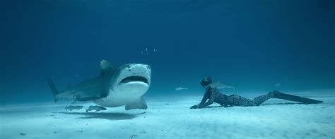 Ocean Ramsey Recalls Coming Face-to-Face with Shark Underwater