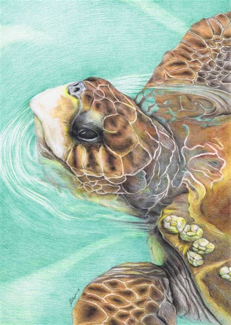 1000+ images about Animal Artwork on Pinterest | Watercolors, Wolves ...