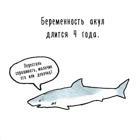 Интересные факты о животных в картинках. Смотрим приколы