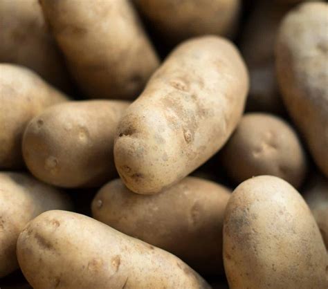 F2F Spud Feature: Russet Potatoes | America's Favorite Potato